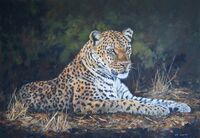 "The Leopard's Lair" 5" x 7"