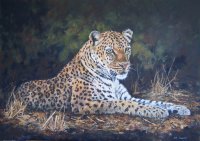 "Leopards Lair"