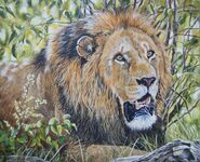 "Feeling Hot"   5" x 7"