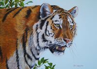 "Just Looking"  5" x 7"