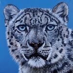 "Ol' Blue Eyes" SOLD