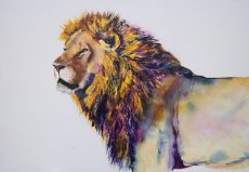 "Rainbow Warrior" SOLD