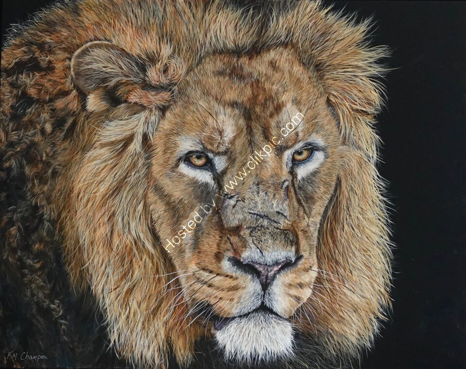 "SURVIVOR"