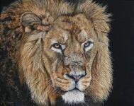 "SURVIVOR"