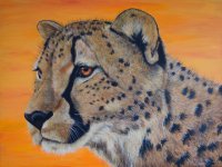 "Savannah's Son" SOLD