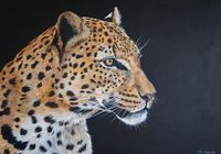 "Focus" SOLD