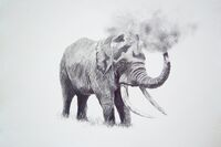 african bull elephant having a dust bath, in graphite