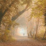 Ballyannon Woods Oct 2021 3