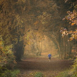 Ballyannon Woods Oct 2021 6