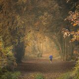 Ballyannon Woods Oct 2021 4