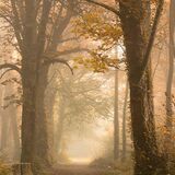 Ballyannon Woods Oct 2021 11