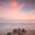 Ballycroneen-May-2015 0128
