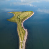 Brown-Island 0032