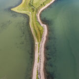 Brown-Island 0043c