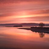 Brown Island Dawn Tuscany April 2022