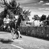 Cahermee Horse Fair