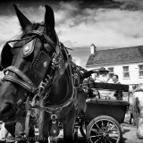 Cahermee Horse Fair