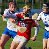 Cork-v-Waterford-U17-Munster-Final-2017 0384 Hurling
