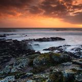 Finure December 2015