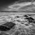 Finure-Jan-2015 2 0073