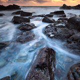 Finure-October-2020_5