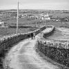 The Lane