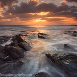 Golden Rays