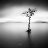 Isolation