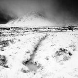 Glencoe Mono