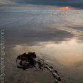 Inch-Dec-2011 0035