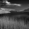 Castlefreke IR