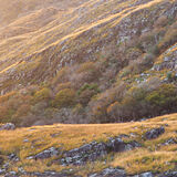 Killarney Nov 2021_6