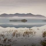 Reeks in the Mist