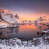 Reine