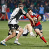 Munster v Zebre Feb 2014