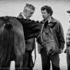 Tallow-Horse-Fair-2014 0058a
