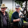 Tallow-Horse-Fair-2014 0084b