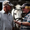 Tallow-Horse-Fair-2014 0317