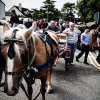 Tallow-Horse-Fair-2014 0376