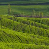 Tuscany April 2022