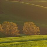 Tuscany April 2022