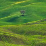Tuscany April 2022