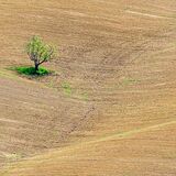 Tuscany April 2022