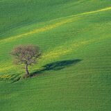Tuscany April 2022