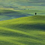 Tuscany April 2022