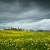 Tuscany April 2022