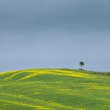 Tuscany April 2022