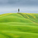 Tuscany April 2022