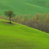 Tuscany April 2022