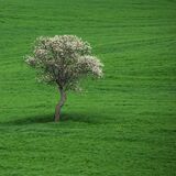 Tuscany April 2022